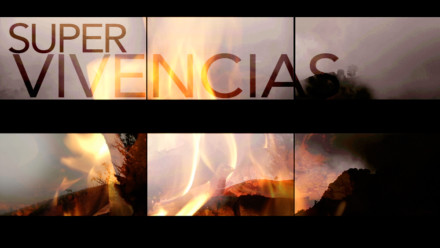 2013 – Survivals by Clemencia Echeverri
