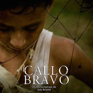 2016 – Callo Bravo – Short Film